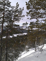 gitteval_20160328_56f94c8466ed4.jpg