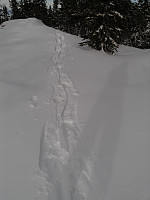 gitteval_20160328_56f94c9f81cba.jpg