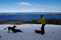 gitteval_20160328_56f963426018b.jpg