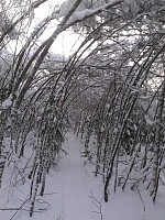 gitteval_20160428_5722229655fbb.jpg