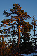 gitteval_20160428_572226d5a8087.jpg