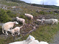 gitteval_20160722_57928b2c6558d.jpg