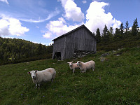 gitteval_20160723_57929a45e8abf.jpg