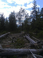gitteval_20160725_5795ba87d78da.jpg