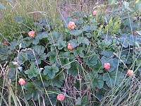 gitteval_20160725_5795bb66b434e.jpg