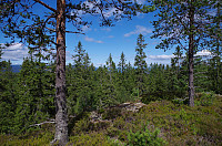 gitteval_20160726_5797675370ff3.jpg