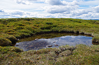 gitteval_20160726_579775cf64e7d.jpg