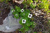 gitteval_20160726_5797764bbe75c.jpg