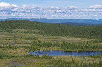 gitteval_20160726_579779b5926aa.jpg