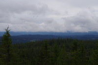 gitteval_20160727_5798c5817c34a.jpg