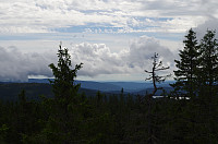gitteval_20160727_5798c5e9a14af.jpg