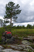 gitteval_20160727_5798c96254909.jpg