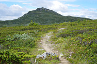 gitteval_20160802_57a0cf6fd8c5c.jpg