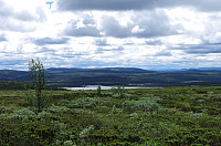 gitteval_20160802_57a0d046610a4.jpg