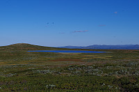gitteval_20160816_57b38c1c04fd4.jpg
