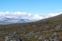 gitteval_20160828_57c2c62004c7c.jpg