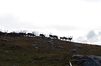 gitteval_20160828_57c2c7348e8b4.jpg