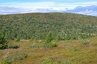 gitteval_20160830_57c5bf45e19e9.jpg