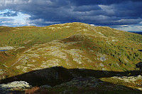 gitteval_20160907_57d069606a7b8.jpg