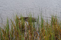 gitteval_20160921_57e2bc48129fa.jpg