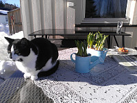 gitteval_20161029_5814ca2be2b78.jpg