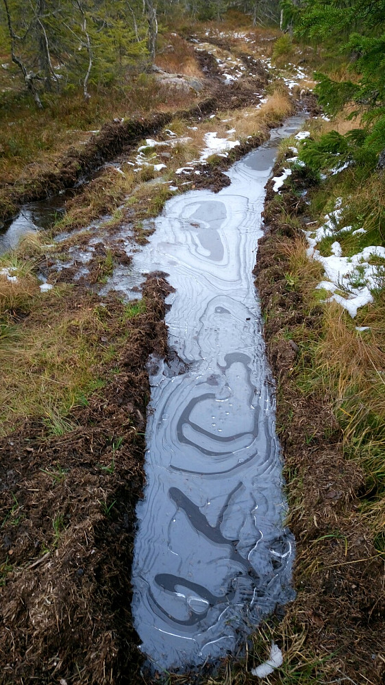 Kunsten prøver å skjule ødelagt natur
