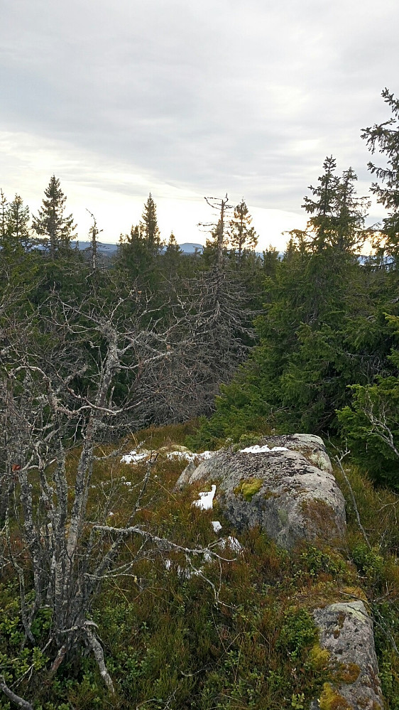 Fjellsjøkampen langt der borte