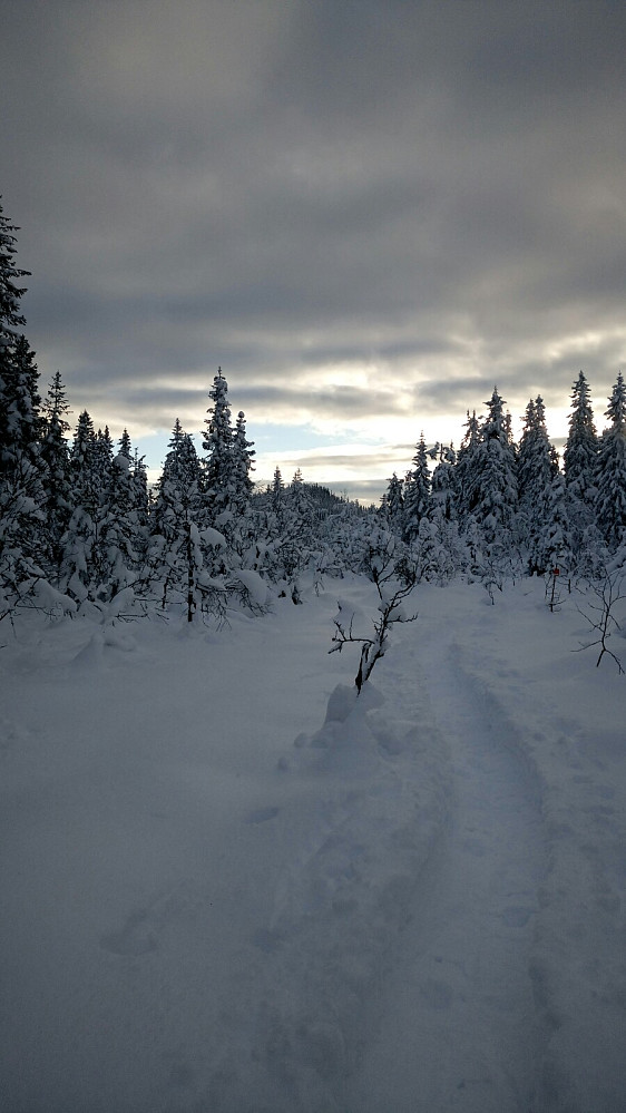 Tilbakeblikk mot Tjuvåsen
