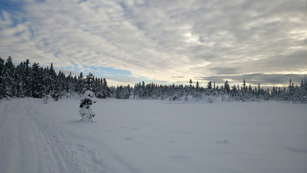 På tur mot Rausteinshytta/Torsæterkampen etter skitraseen