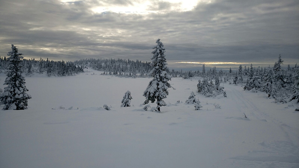 Raudsteinstjernet
