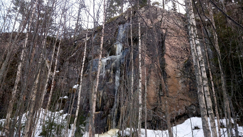 Klatrefeltet
