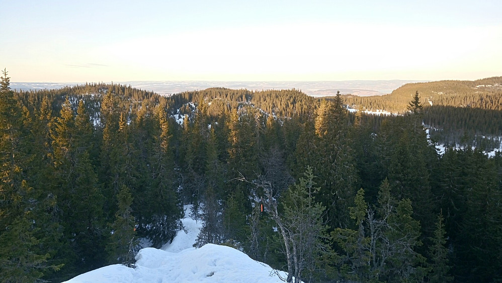 Fra Tjuvåsen mot Mjøsa