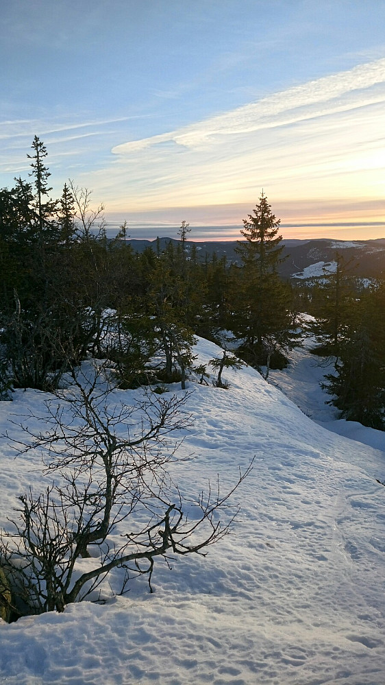 På Tjuvåskampen