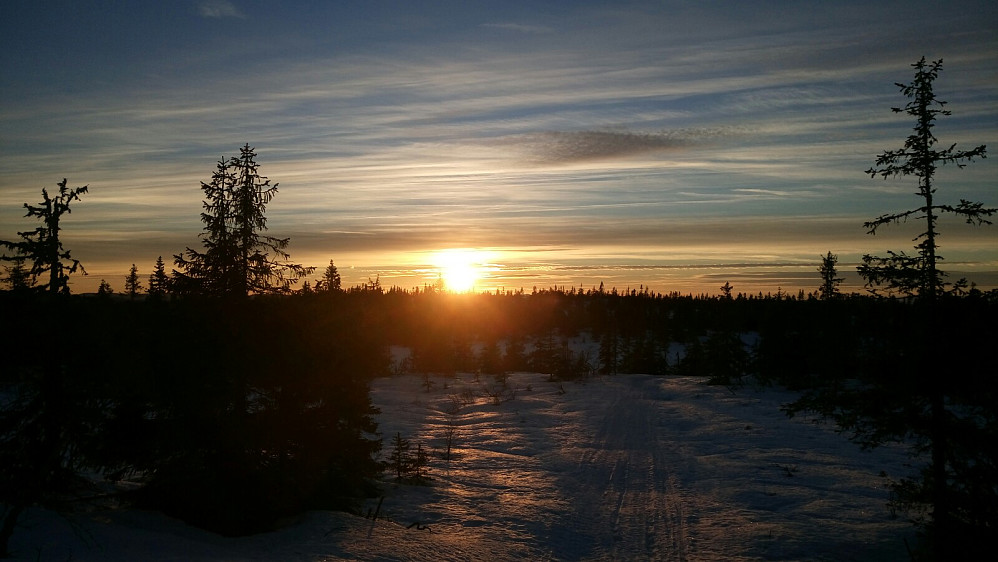 Skiløypetraseen mot Rausteinshytta