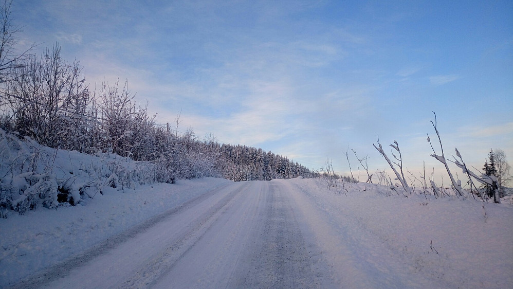 Steinsjåvegen