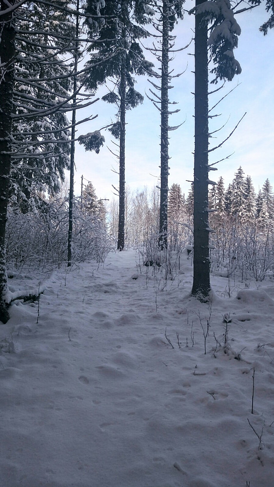 Østbyhøgda