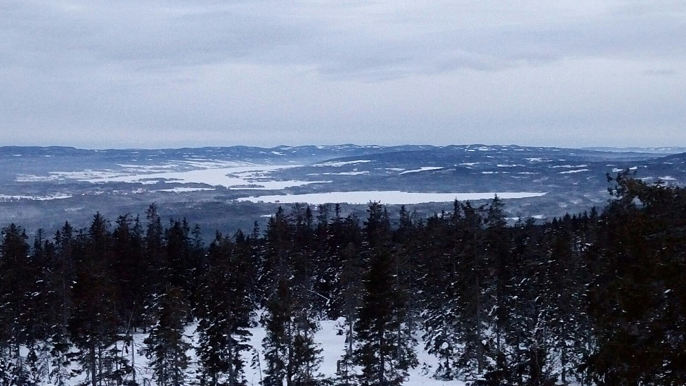 Skjelbreia med Einafjorden bak