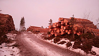 gitteval_20170122_5884e3794a865.jpg