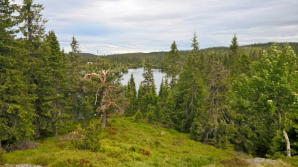 Herva (705 moh)