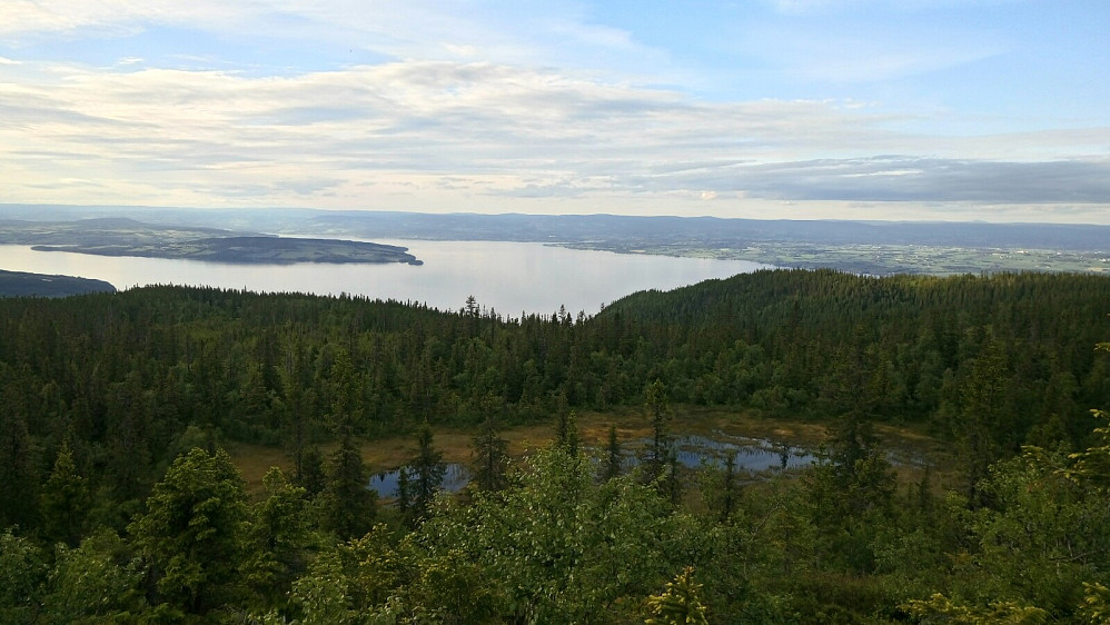 Helgøya og Hamar