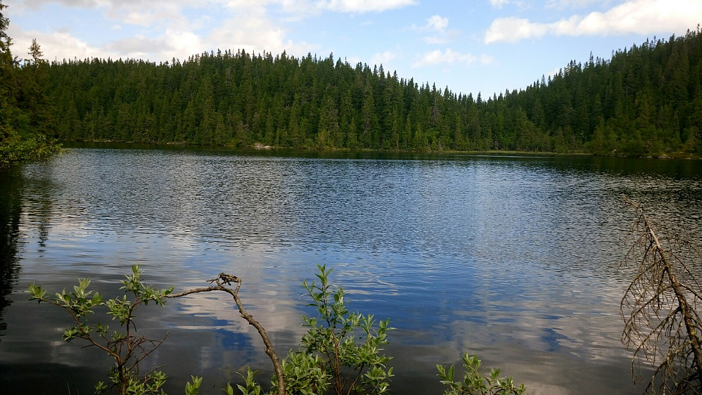 Svartdalstjern nr 3