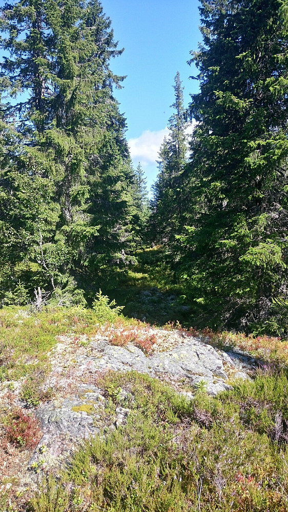 Marikleivhaugen