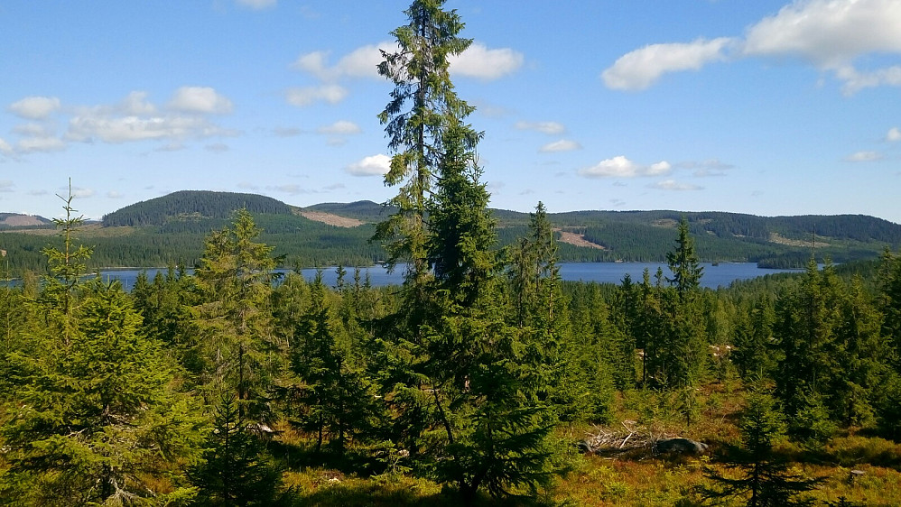 Vassbråa