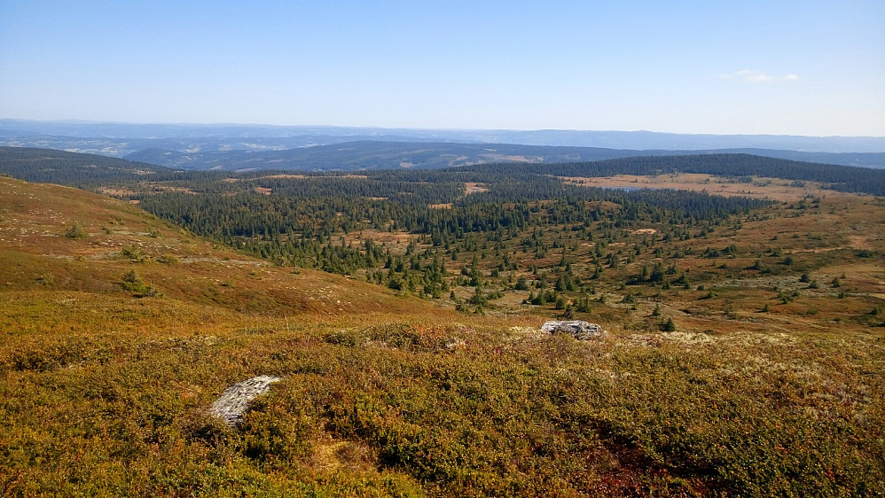 Fra Myssmørhelje mot nordøst