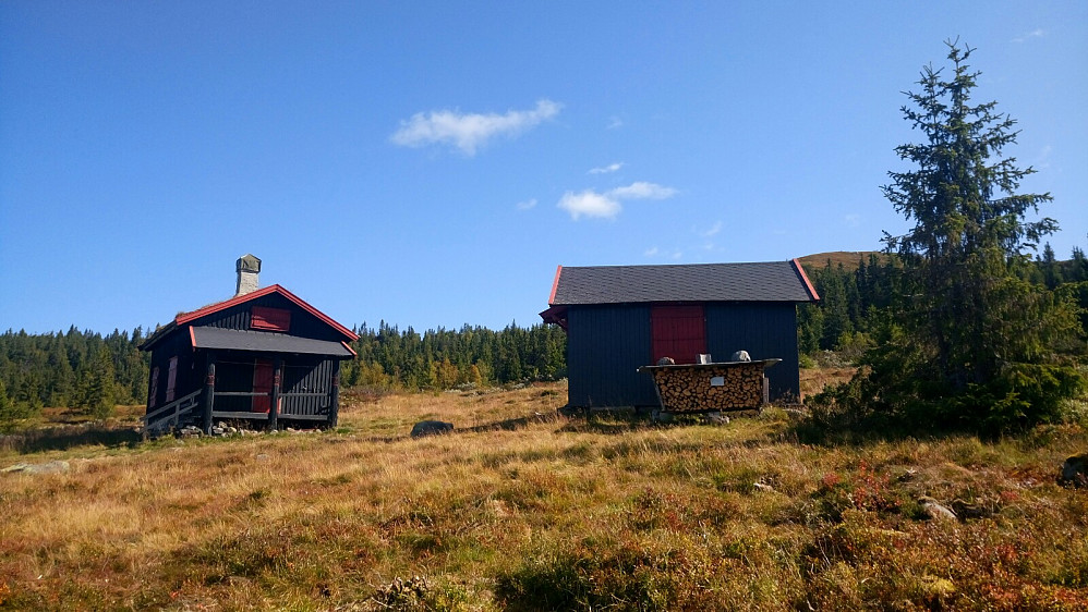 Ved Mjogsjøen