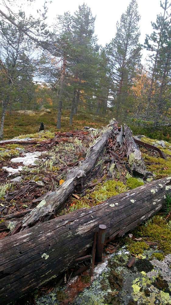 Vestlandsfjellet
