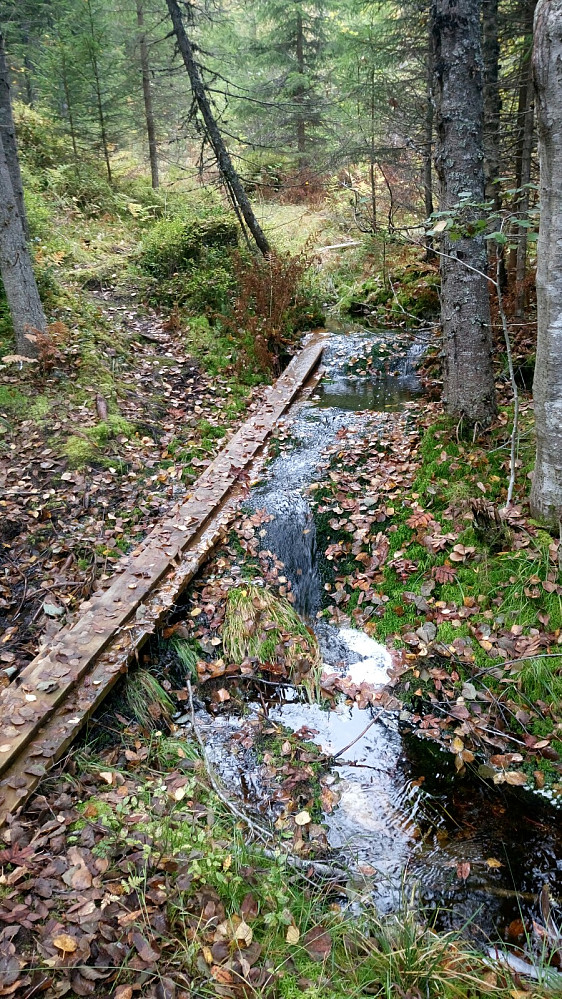 Oversvømt sti
