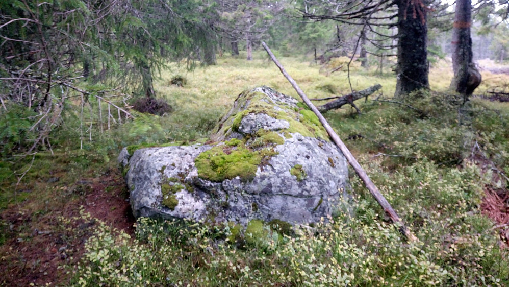 Hovde