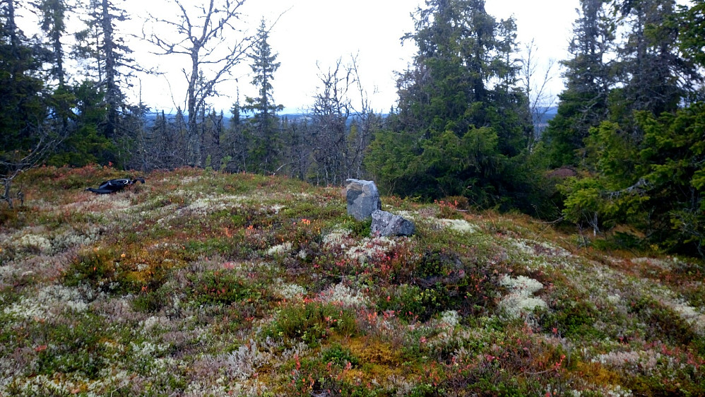 Røyskatthovde