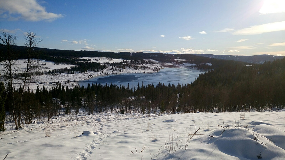 Svarttjønnet